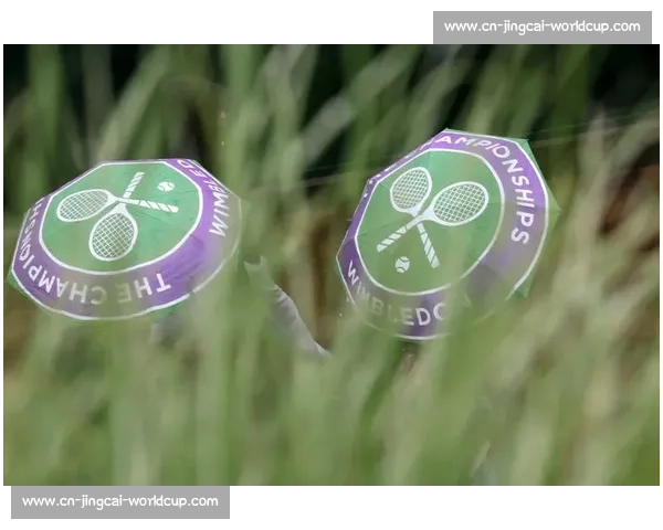 温网「雨布魔法」：百年草地的守护者