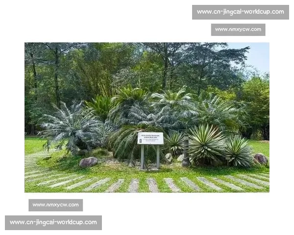 金杯赛非洲独苗：南非 2005 年的跨洋之旅