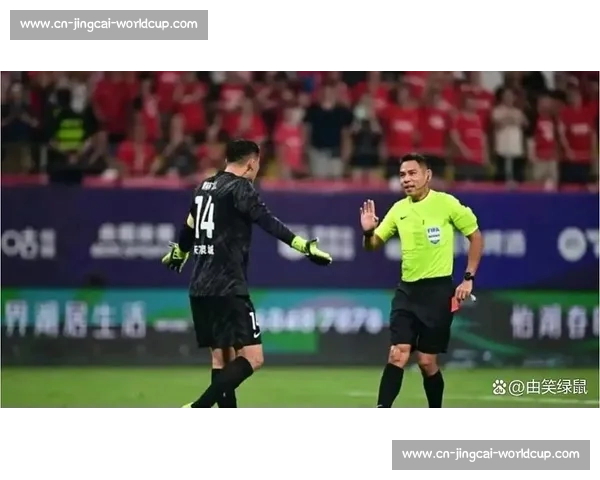 王大雷：人生剧本各异，何须定义最佳？