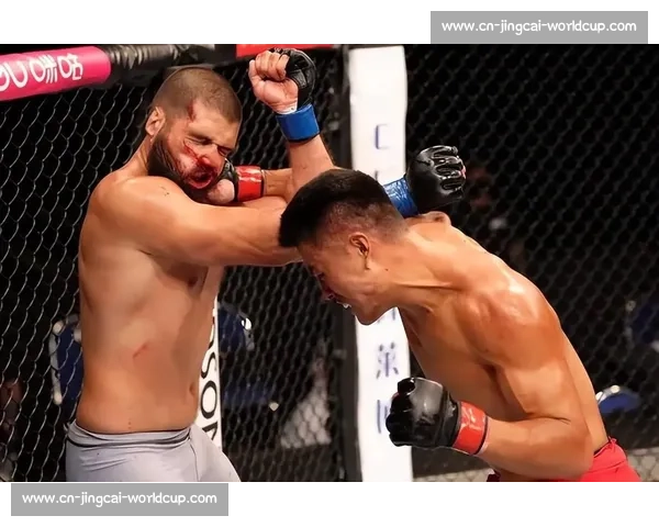 UFC 重量级震撼瞬间:KO 集锦与力量展示